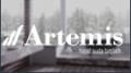 ARTEMİS Banyo Ürünleri