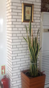 Delta Mayra Eskitme Brick Tuğla 48*200 mm